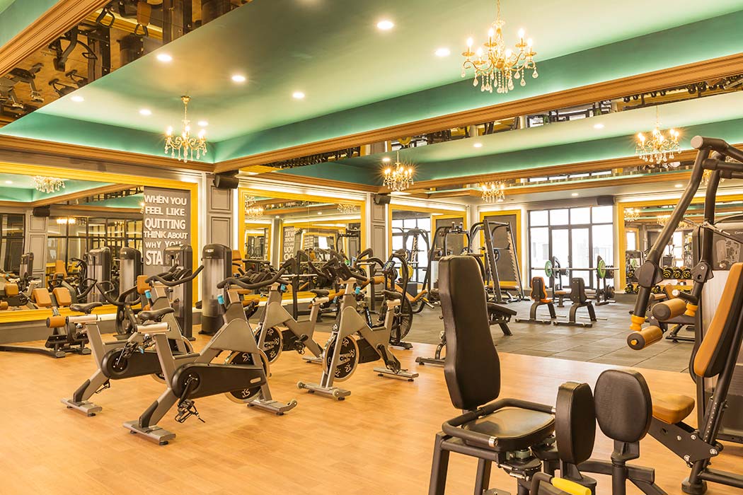 Golds Gym Moradabad Gym Equipment Fitness Equipment Get Home Gym